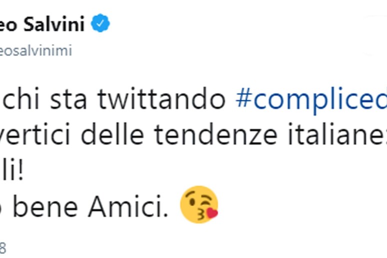 Nella notte 2mila tweet con l 'hashtag #complicedisalvini - RIPRODUZIONE RISERVATA