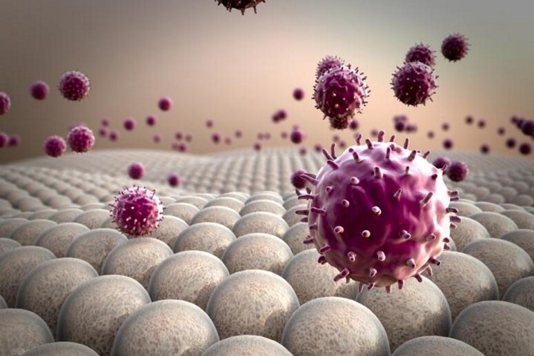 Rappresentazione artistica di cellule immunitarie (fonte: Penn Medicine) - RIPRODUZIONE RISERVATA