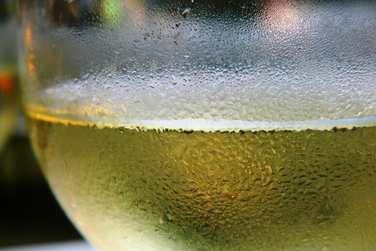 Vermentino Aragosta tra i migliori 100 vini al mondo (fonte Pixabay) - RIPRODUZIONE RISERVATA