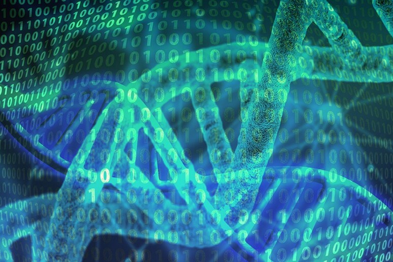 Una banca dati riunisce tutti i tratti genetici caratteristici di un organismo in buona salute (fonte: PIxabay) - RIPRODUZIONE RISERVATA
