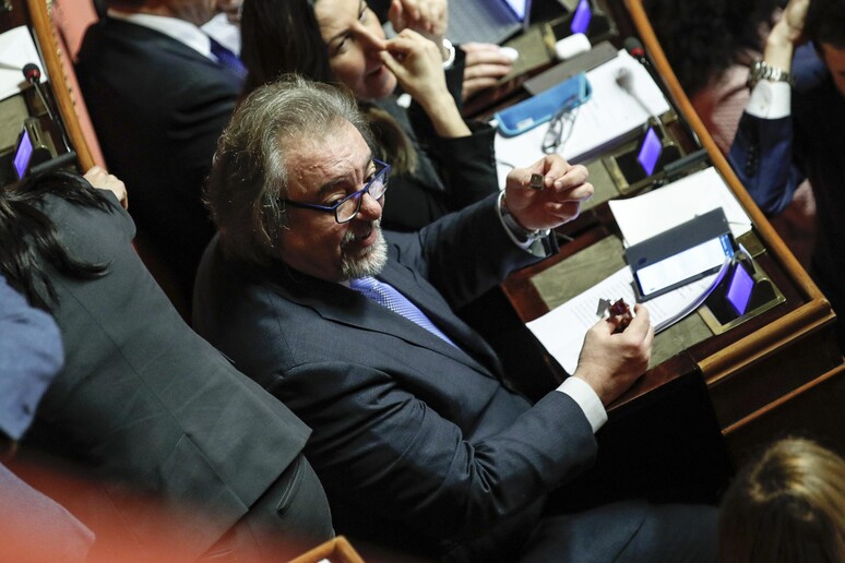 Mario Michele Giarrusso in Senato durante il voto sul disegno di legge costituzionale sulla riduzione del numero dei parlamentari - RIPRODUZIONE RISERVATA