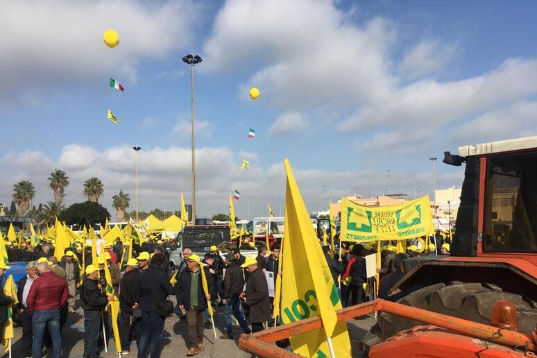 La protesta degli agricoltori a Lecce del 9 marzo (fonte: Coldiretti) - RIPRODUZIONE RISERVATA