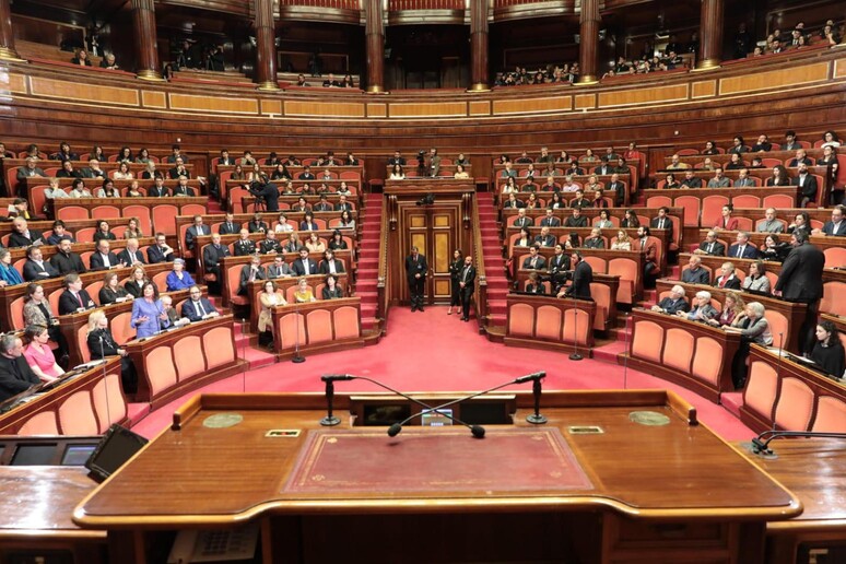 L 'Aula del Senato - RIPRODUZIONE RISERVATA