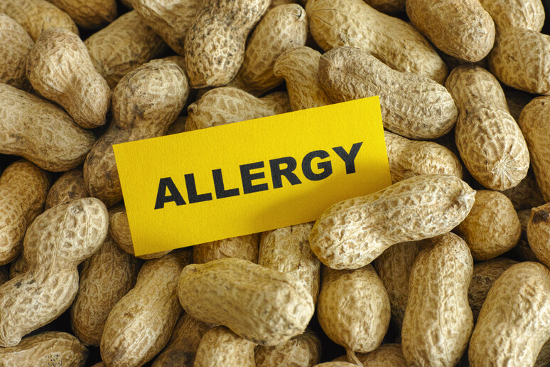 Studio mette in discussione la sicurezza della cosiddetta immunoterapia orale per le allergie alimentari - RIPRODUZIONE RISERVATA