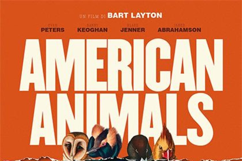 La locandina di American Animals - RIPRODUZIONE RISERVATA