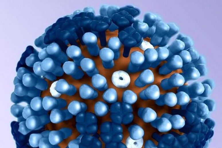 Rappresentazione grafica della superficie del virus dell 'influenza (fonte: Pixnio) - RIPRODUZIONE RISERVATA