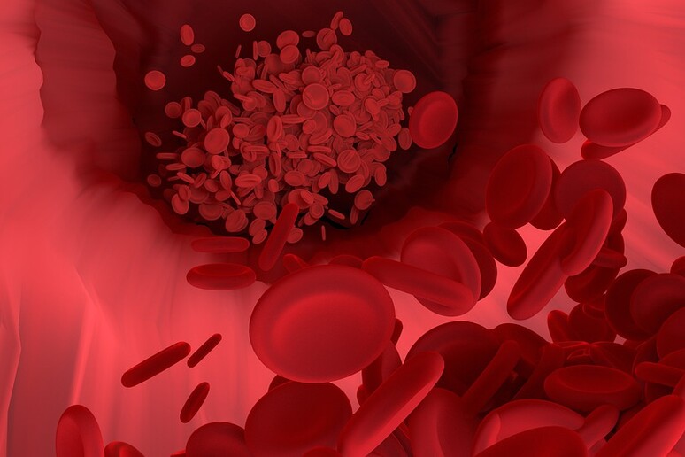 Rappresentazione artistica di un vaso sanguigno (fonte: Pixabay) - RIPRODUZIONE RISERVATA