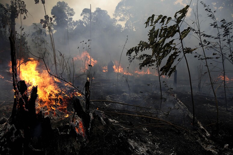 Amazzonia: media, Brasile rifiuta 20 mln aiuti da G7 © ANSA/AP