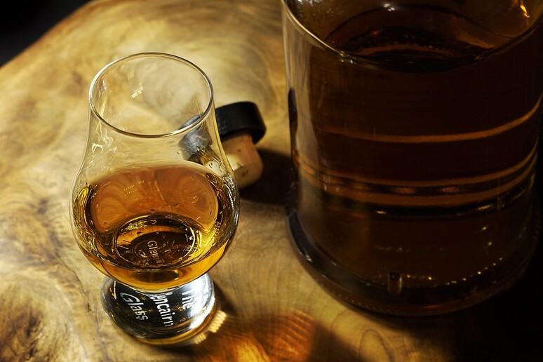 Una  'lingua artificiale ' per avvertire le differenze tra i whisky (fonte: Pixabay) - RIPRODUZIONE RISERVATA