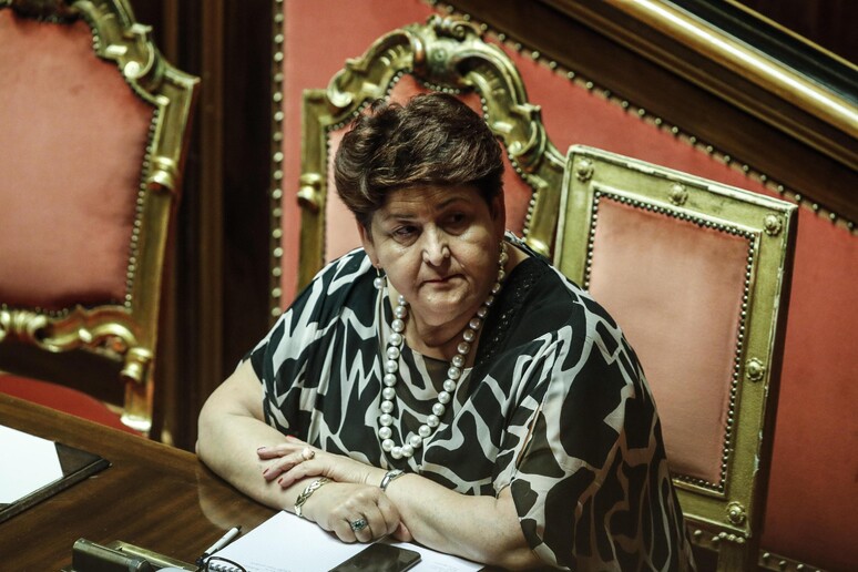 Il ministro Teresa Bellanova - RIPRODUZIONE RISERVATA