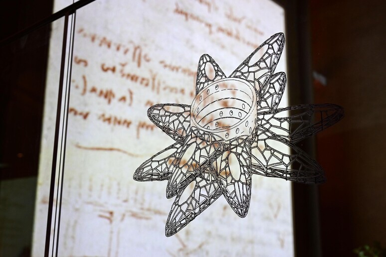 Leonardo: la botanica del Genio in mostra a Firenze - RIPRODUZIONE RISERVATA
