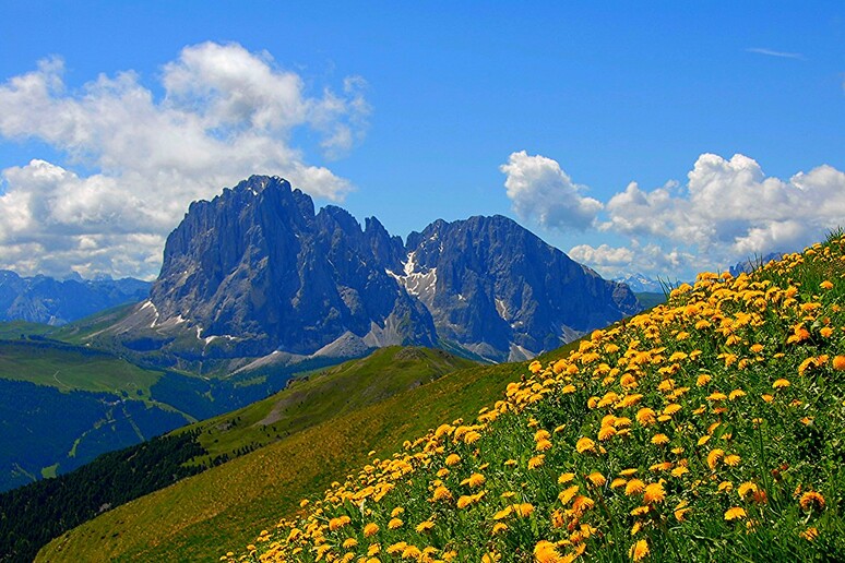 Nelle montagne si concentra gran parte della biodiversità della Terra (fonte: Gianfranco Goria, Flickr) - RIPRODUZIONE RISERVATA