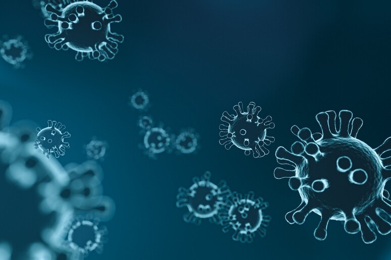 Rappresentazione grafica di un coronavirus (fonte: mattthewafflecat, Pixabay) - RIPRODUZIONE RISERVATA