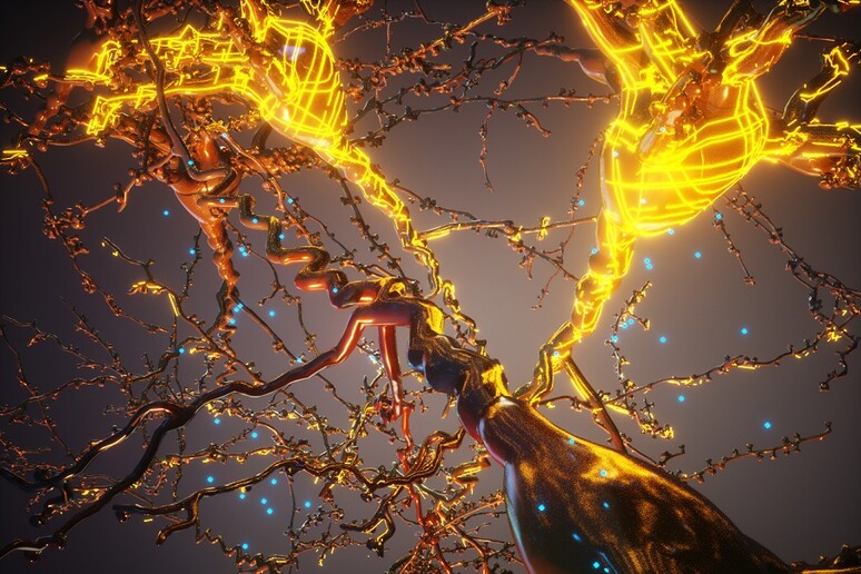 I neuroni si rivestono con una  'corazza ' artificiale (fonte: Ella Maru Studio and Yoon Seok Kim/Jia Liu, Deisseroth/Bao laboratories, Stanford University) - RIPRODUZIONE RISERVATA