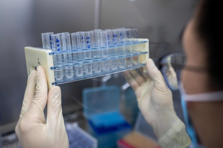 Un laboratorio che studia un vaccino per il coronavirus © ANSA/AFP