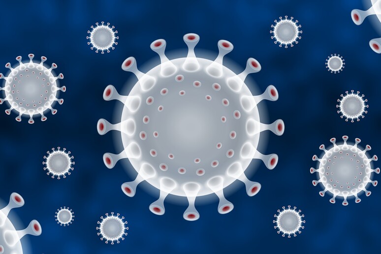 L 'indice di contagio Rt il parametro chiave per convivere con il nuovo coronavirus (fonte: iXimus/Pixabay) - RIPRODUZIONE RISERVATA
