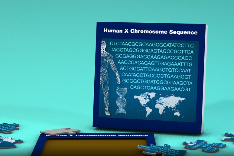 Nuove tecniche di sequenziamento hanno permesso di ottenere la sequenza completa del cromosoma X (fonte: NIH) - RIPRODUZIONE RISERVATA