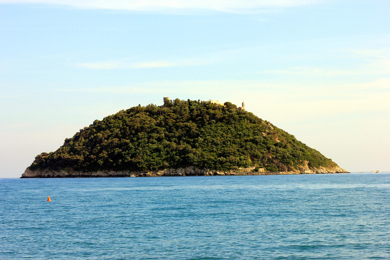L 'isola di Gallinara (Foto d 'archivio) - RIPRODUZIONE RISERVATA