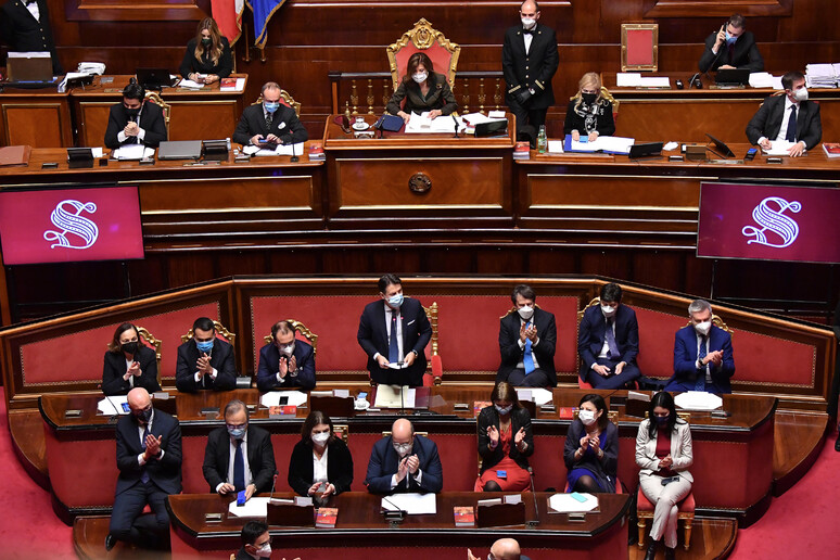 L 'Aula del Senato © ANSA/ANSA/ALESSANDRO DI MEO