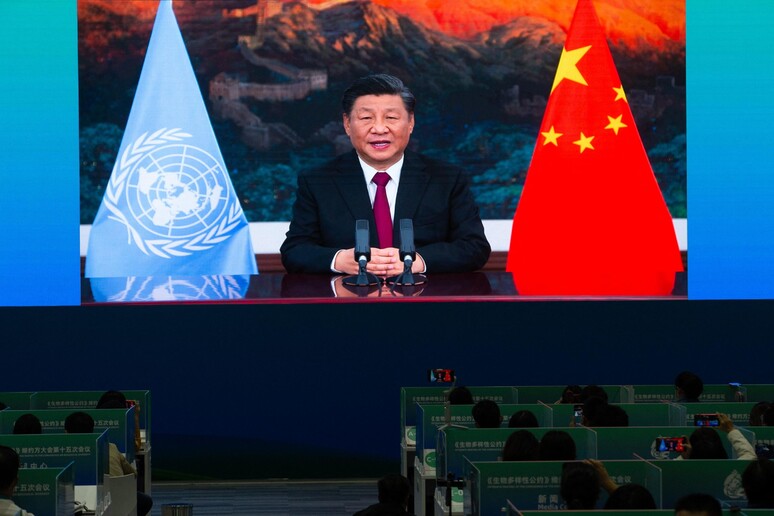 Il presidente cinese Xi in una foto di archivio © ANSA/AFP