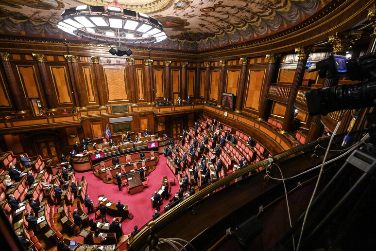 Aula del Senato in una foto d 	'archivio - RIPRODUZIONE RISERVATA