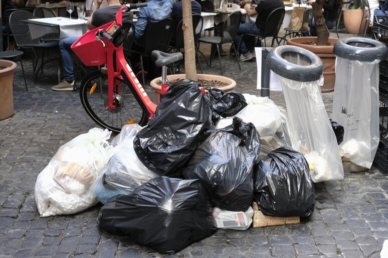 Rifiuti raccolti in sacchi di plastica vicino alla Fontana di Trevi - RIPRODUZIONE RISERVATA