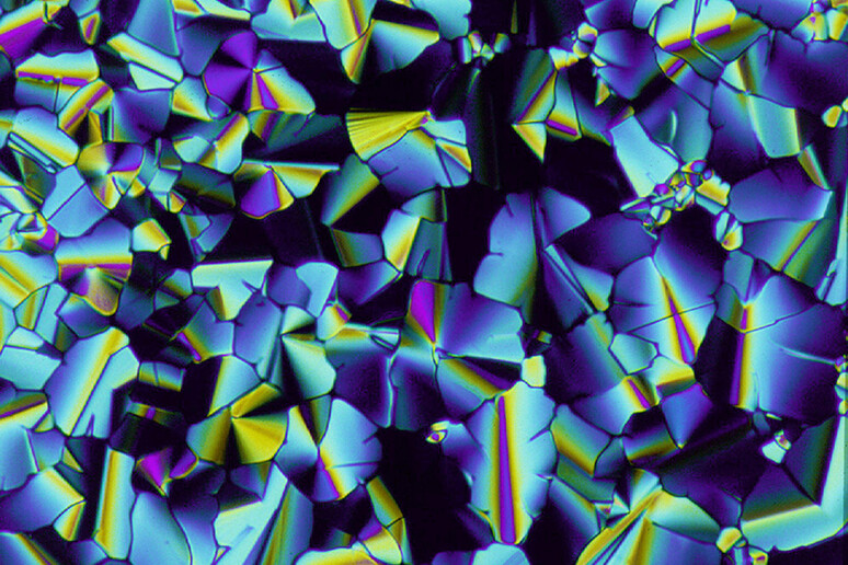 Struttura di cristalli liquidi vista al microscopio (fonte:Paul Hindmarsh e John Goodby,The Liquid Crystal Group, The University of Hull) - RIPRODUZIONE RISERVATA