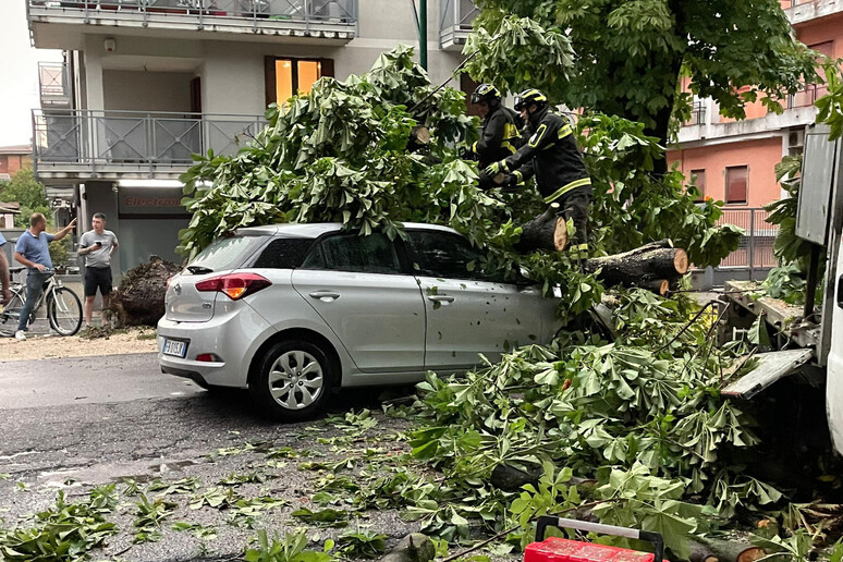 I danni del maltempo a Cremona - RIPRODUZIONE RISERVATA
