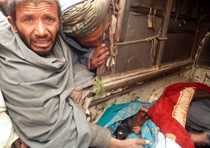 Kandahar, alcune vittime del massacro