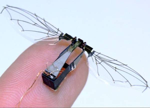 Robofly, l’insetto robot ideato nell’università di Harvard (fonte: Istituto Wyss, università di Harvard)