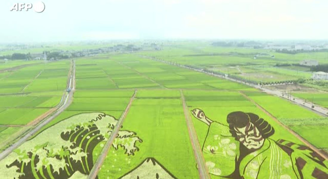 In Giappone i terreni agricoli diventano opere d'arte © ANSA
