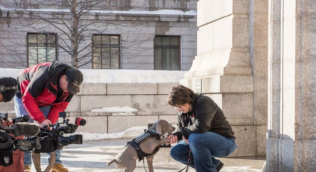 Boston's Museum of Fine Arts introduced its newest employee, Riley, a bug-sniffing puppy (from Abc News) © Ansa