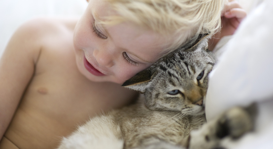 Un bambino abbracciato al suo gatto foto iStock. © Ansa