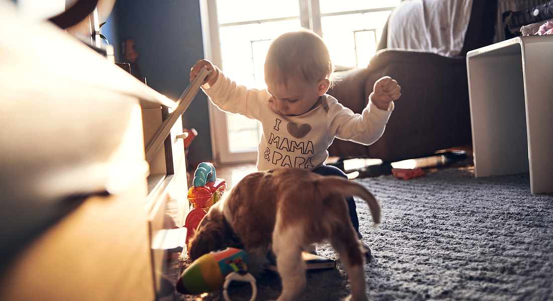 Un bambino piccolo con un cucciolo di cane foto iStock. © Ansa
