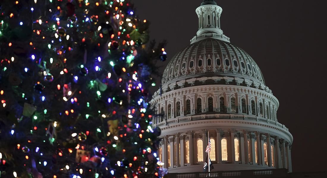 Albero di Natale a Washington © AP