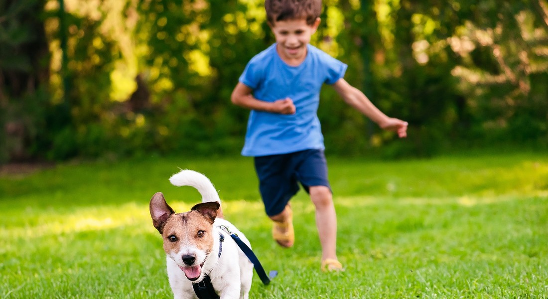 Un bambino con il suo cane di corsa nel prato foto iStock. © Ansa