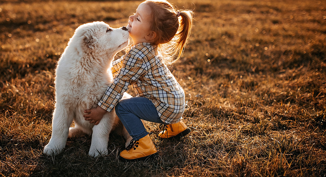 Un cucciolo di cane e una bambina foto iStock. © Ansa