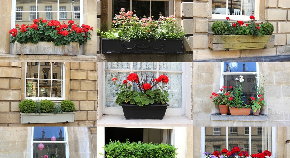 balconi fioriti con piante anti zanzare tra cui geranio e lavanda © Ansa