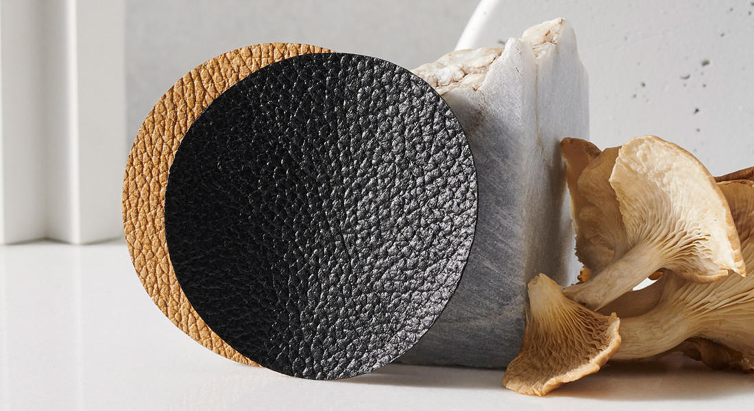 Pelle ecologica fatta di funghi per farne borse, abiti e rivestimenti per divani, nuovo brevetto Mylo © ANSA