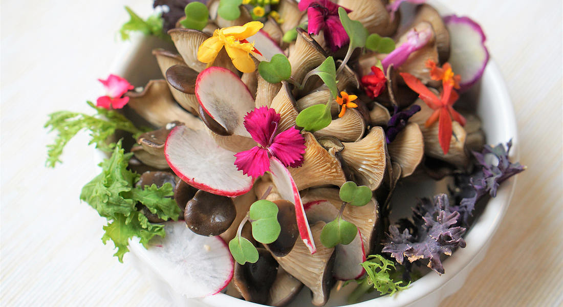 insalate di funghi, fiori, ravanelli e lattuga fra i piatti cool della prossima primavera, secondo le agenzie di trend mondiali © ANSA