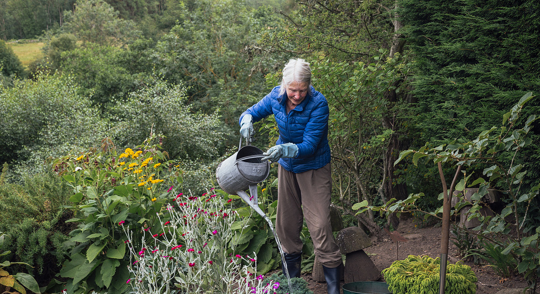 Fare giardinaggio, coltivare passioni, è un modo per ridurre lo stress. foto iStock. © Ansa