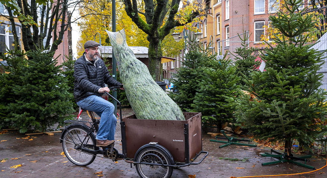 Christmas tree sale started again © EPA