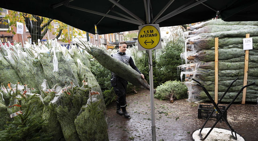 Christmas tree sale started again © EPA