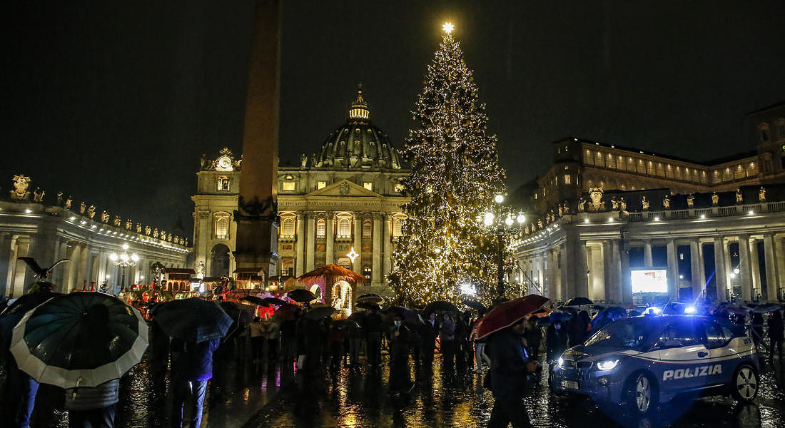 Vatican Christmas tree © ANSA