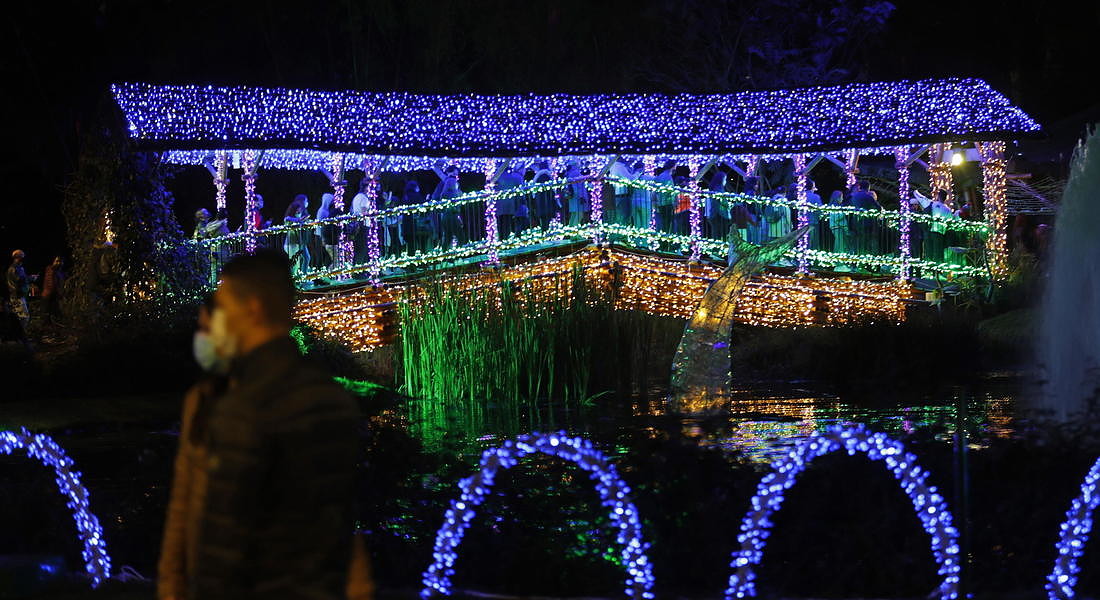 Botanical Garden decorated for the holidays, in Bogota © EPA