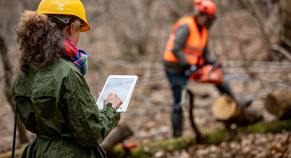Forester Foreman Using Digital Tablet When Working and Supervising in Forest iStock. © Ansa