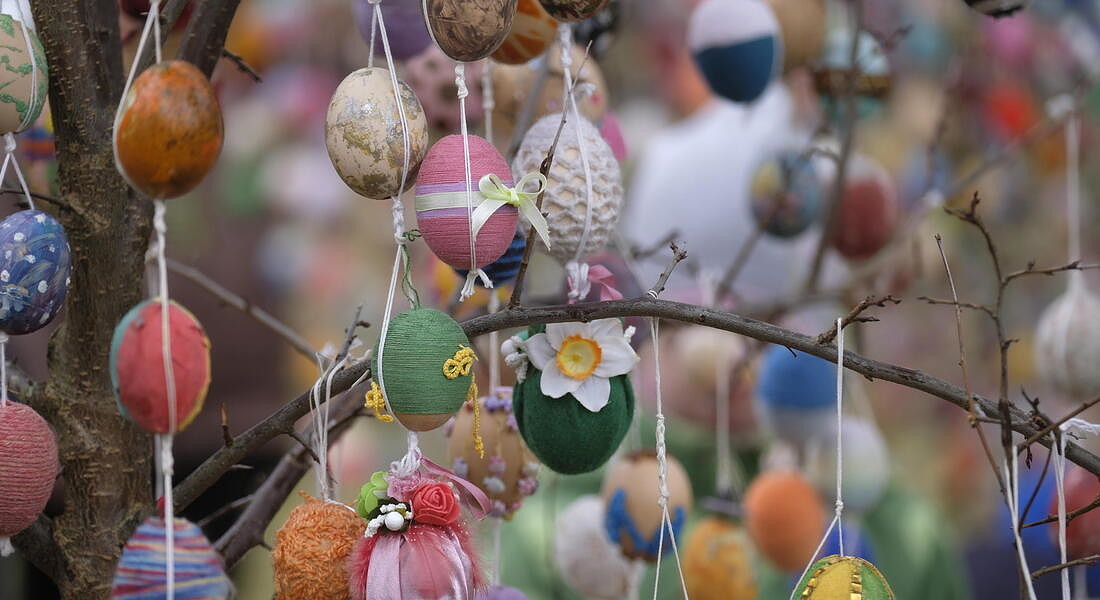 Multi-coloured Easter eggs hung on trees in Seduva © EPA