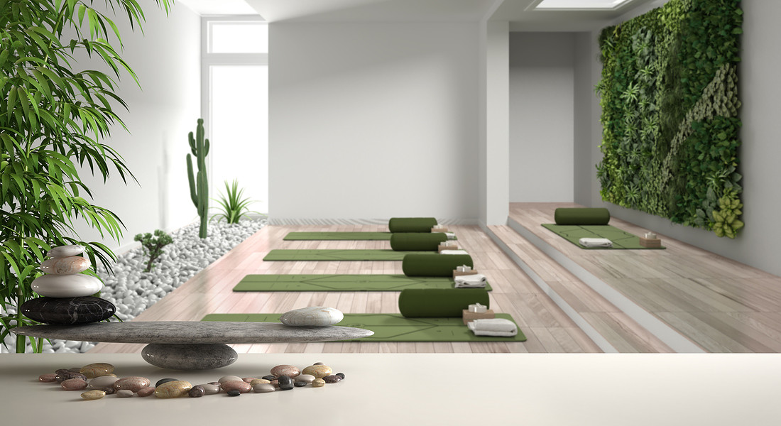 feng shu,  yoga studio, vertical garden,  zen concept interior design foto iStock. © Ansa