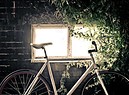 bici - biciclette di lusso (ANSA)