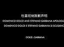 Dolce e Gabbana si scusano in Cina (ANSA)